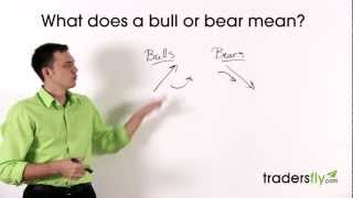 What Does a Bull and Bear Mean in the Stock Market [upl. by Joan70]