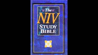 The Book of Psalms NIV Audio Bible Non Dramatized [upl. by Ansley694]