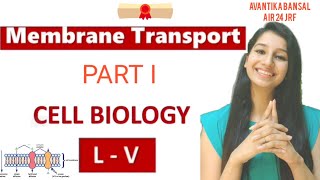 Membrane TransportFacilitated DiffusionActive TransportCarrier and Channel ProteinCell Biology [upl. by Asilim]