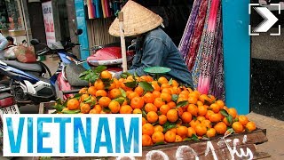 Españoles en el mundo Vietnam 13  RTVE [upl. by Sorenson]