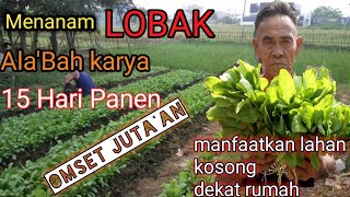 CARA MENANAM LOBAK  Part 1 [upl. by Naasah]