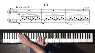 Liszt Consolation No3  P Barton FEURICH 218 piano [upl. by Towill363]