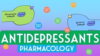 Antidepressants Pharmacology  Soton Brain Hub [upl. by Osmen]