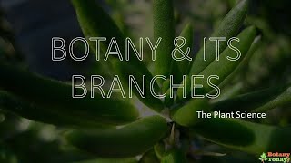 Branches of Botany  Botanical Science Sub branches [upl. by Tur441]