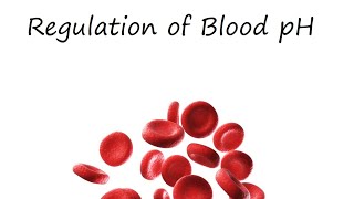 Regulation of Blood pH [upl. by Estrellita]