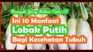 Lobak Putih  Kurang Populer Namun Memiliki Segudang Manfaat Bagi Kesehatan [upl. by Calica]