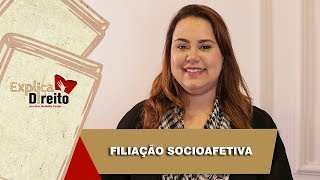 Explica Direito Filiação Socioafetiva  2019 [upl. by Dnomzed]