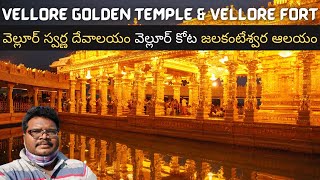 Vellore full tour in Telugu  Vellore Golden Temple  Vellore Fort  Jalakandeswarar  Tamilnadu [upl. by Terrag260]