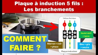 Comment brancher une plaque induction 5 fils [upl. by Cleary673]