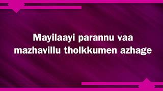 Mayilaayi Parannu Vaa Karaoke song with English Lyrics [upl. by Lurleen658]