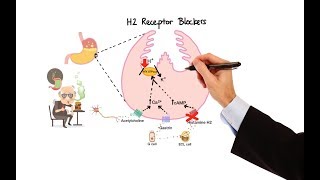 Pharmacology  ANTIHISTAMINES MADE EASY [upl. by Orlosky]