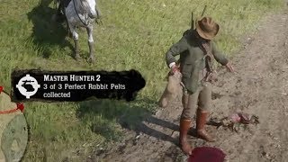 How To Get Perfect Rabbit Pelts  Red Dead Redemption 2 [upl. by Aimahc]