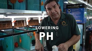 HOW TO lower PH for your Tropical Fish Tank [upl. by Felise]