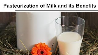 Pasteurization of Milk and its Benefits [upl. by Collbaith]