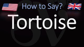 How to Pronounce Tortoise CORRECTLY [upl. by Claus]