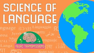 The Neuroscience of Language [upl. by Aramal213]