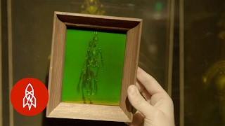 The LaserBased Science Behind 3D Holograms [upl. by Annaili233]