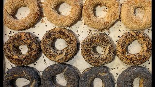 MONTREAL STYLE BAGELS  Easy Recipe and Instructions [upl. by Juback48]