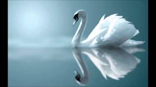 Sibelius The Swan of Tuonela [upl. by Arihsa]