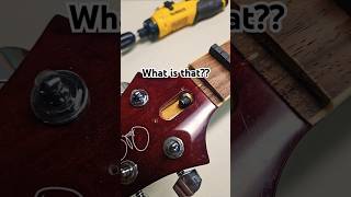 What is on that Truss Rod [upl. by Windham850]