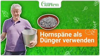 Hornspäne als Dünger richtig anwenden So geht’s [upl. by Honebein]