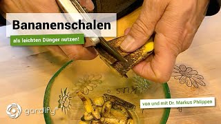 Bananenschalen als leichten Dünger nutzen  gardify Tipps [upl. by Slayton]