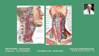 Ecocolordoppler dei tronchi sovraaortici [upl. by Dorin]