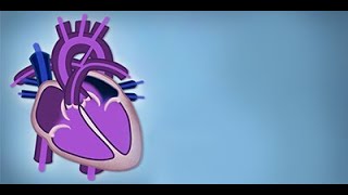 Fetal Circulation by L McCabe  OPENPediatrics [upl. by Byram926]