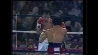 Wilfredo Gomez vs Carlos Zarate full fight HD [upl. by Mina]