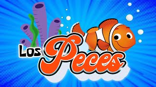 Los Peces 🐟🐠🐡  Vídeos Educativos para NiñosAprendiendoABC [upl. by Ikeda]