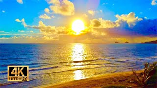 Sunrise from Kailua Beach in Oahu Hawaii  12 Hours of Beach Sunrise  Ocean Waves [upl. by Tirzah167]