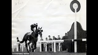 The BBC Grand National 1967  Foinavon Full Race [upl. by Euphemie]