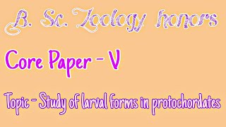 Larval forms in Protochordates [upl. by Nets]