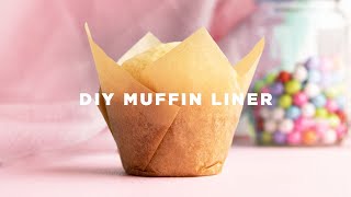 How to Make Cupcake Liners [upl. by Irene]