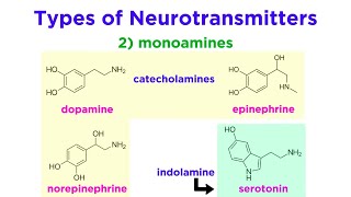 Neurotransmitters Type Structure and Function [upl. by Oflodor]