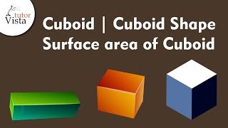 Cuboid  Cuboid Shape  Surface Area [upl. by Jeremy]