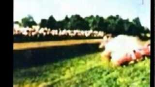 Wolfgang Von Trips Monza 1961 Rare Color Footage Shot By Injured Spectator [upl. by Damara]