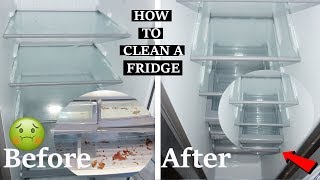 How I Clean My Fridge How To Deep Clean amp Sanitize your Fridge [upl. by Si]