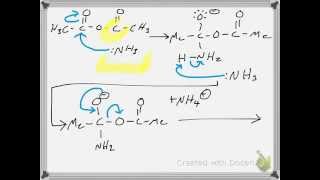 Synthesis of Acetamide from Acetic Anhydride RXN Mechanism [upl. by O'Neill]