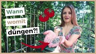 Tomaten richtig düngen 🍅 Nutzt du diese 3 Methoden [upl. by Ybbor]