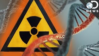 How Radiation Changes Your DNA [upl. by Sadler]