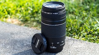 5 Reasons Why You SHOULD Consider The Canon 75300mm Lens [upl. by Azeria]