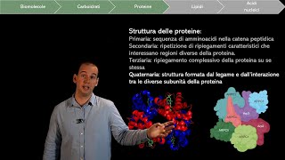 Le biomolecole gli Amminoacidi e le Proteine [upl. by Schaper]