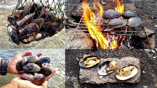 outdoor  catch and cook  Freshwater Mussel cooking  Duck Mussel  Anodonta anatina [upl. by Gosselin599]