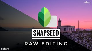 RAW Editing in Snapseed RAW Photo  Snapseed Tutorial [upl. by Ennayoj]