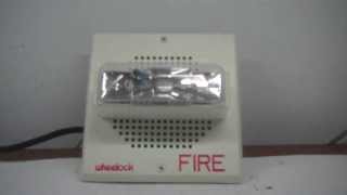 Wheelock ET7024MCW FIre Alarm Test [upl. by Aicnerolf]