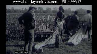 Cotton Plantation Slaves 1960s  Film 99317 [upl. by Ecnerrot264]