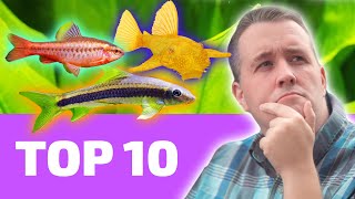 Top 10 EASY Fish That Every BEGINNER Needs [upl. by Alaikim]