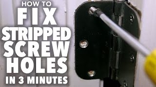 Fix Stripped Screw Holes  3 MINUTE FIX [upl. by Lorrin]