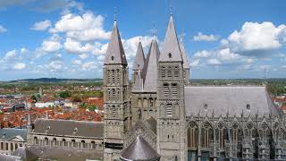 Saint Michel Cathedral  Brussels Belgium [upl. by Theis488]